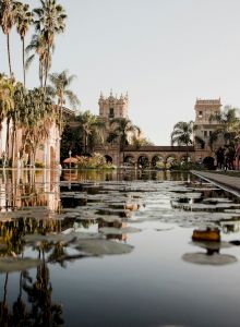 A serene pond with lily pads, reflecting historic buildings and palm trees in the background, under a clear sky.