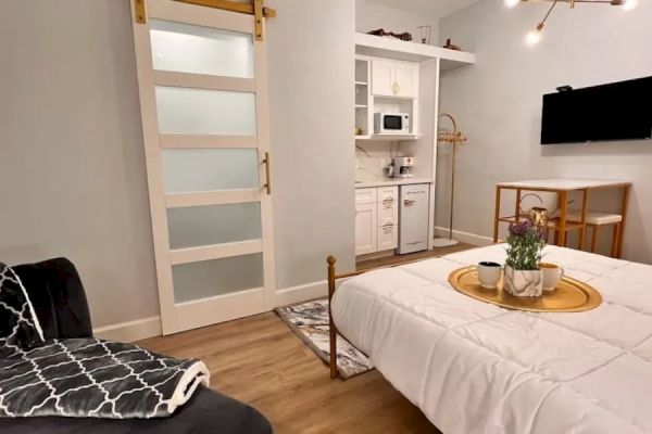 Modern studio apartment with a bed, couch, sliding door, wall-mounted TV, kitchenette, overhead lighting, and wooden flooring, decorated with plants.