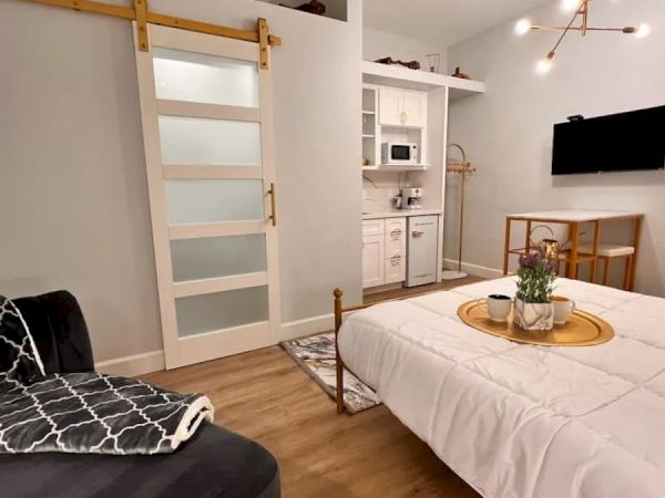 Modern studio apartment with a bed, couch, sliding door, wall-mounted TV, kitchenette, overhead lighting, and wooden flooring, decorated with plants.