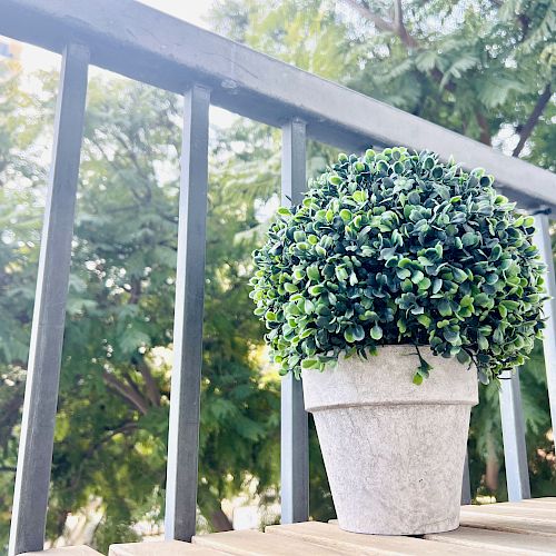 A small potted plant with green foliage sits on a wooden surface next to a metal railing, with trees and greenery visible in the background.