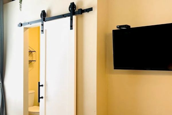 The image shows an interior space with a sliding barn door leading to a bathroom, a wall-mounted TV, and potted plants on a ledge.