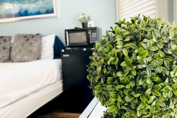 The image shows a room with a bed, a microwave on a small counter, green leafy decor, a painting on the wall, and a window with blinds.