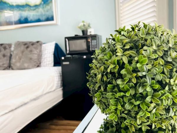 The image shows a room with a bed, a microwave on a small counter, green leafy decor, a painting on the wall, and a window with blinds.