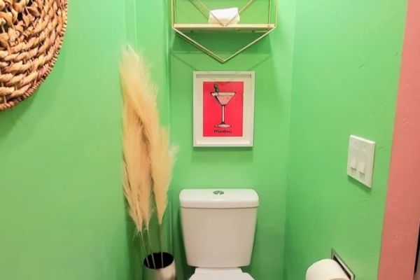 A green-walled bathroom with a toilet, toilet paper holder, decorative pampas grass, wall art, shelves, a mirror on the left, and light switch on the right.