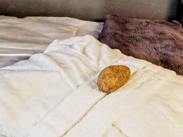 A brown potato is placed on a white towel or bathrobe on a bed with white sheets and a purple pillow.
