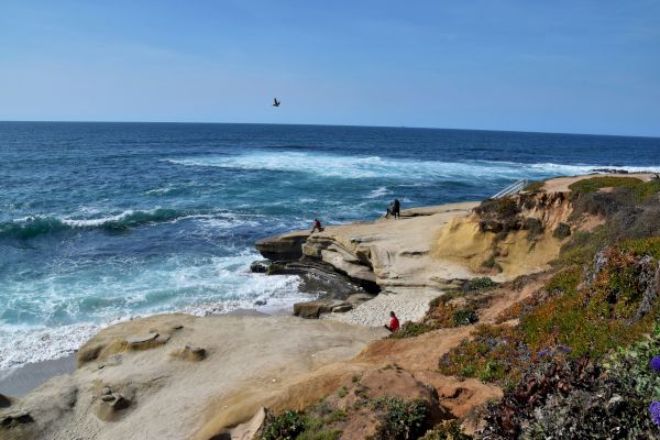 The image shows a scenic coastal area with people standing on rocky cliffs, overlooking the ocean, with a bird flying overhead.