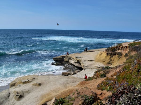 The image shows a scenic coastal area with people standing on rocky cliffs, overlooking the ocean, with a bird flying overhead.